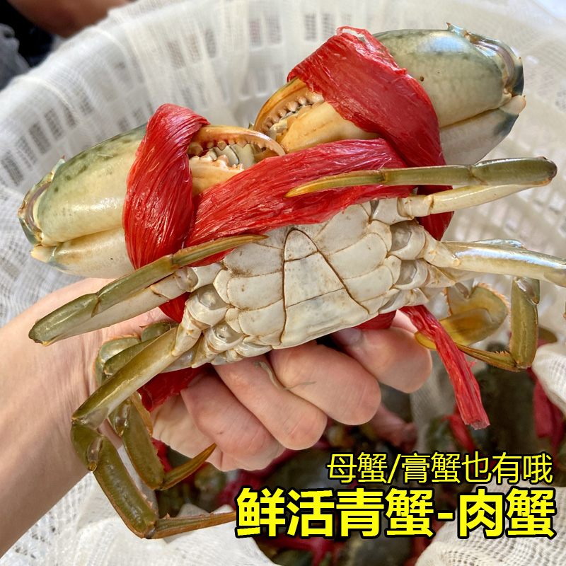 鲜活青蟹肉蟹大海蟹螃蟹红鲟潮汕海鲜水产公蟹非母蟹2斤广东活寄 - 图0