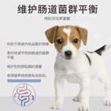 McFudi Pet Store Повторный посетите посещение более десяти лет старого магазина McFudi Pet Синьцзян БЕСПЛАТНА