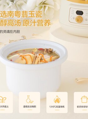 小型电炖锅天际多功能全自动