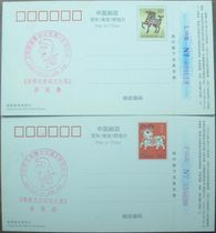 Bi Family Dragon Philately Culture Exhibition Commemorative Poke with the Lunar New Year Film 60 Zodiac Goat Horse Postage Postcard