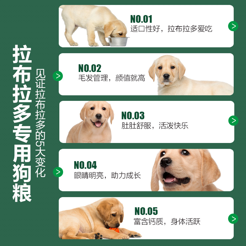 拉布拉多金毛专用狗粮大型犬成犬幼犬狗狗吃通用型旗舰店官方正品 - 图2