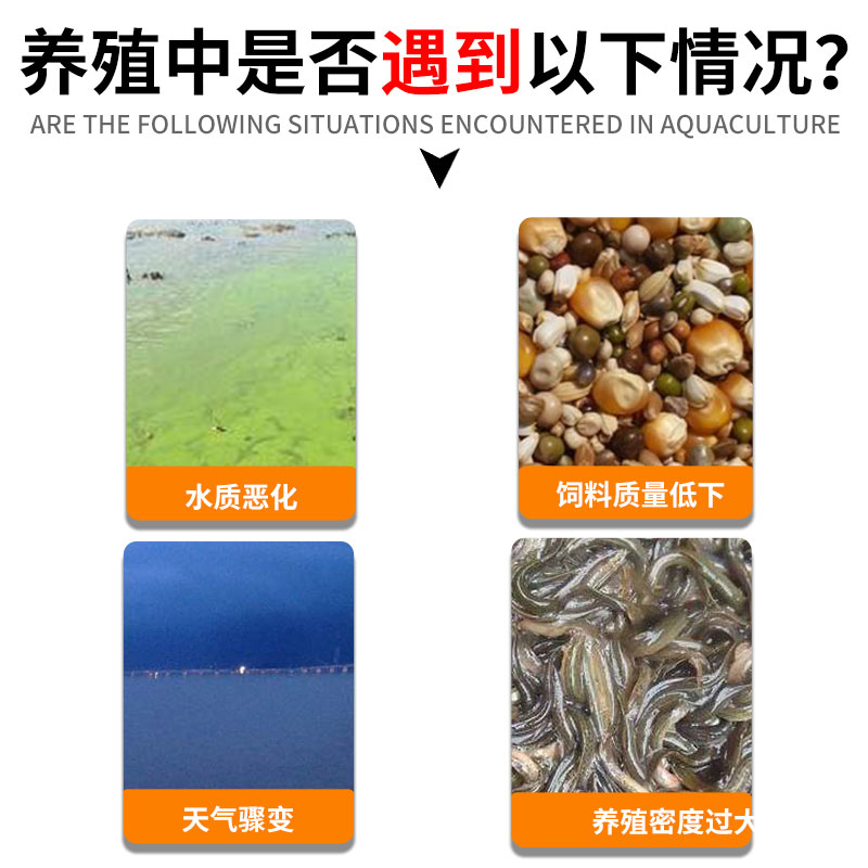 VC应激宝应激灵 水产养殖龙虾蟹鱼塘用电解多维生素C鱼用VC抗应激 - 图1