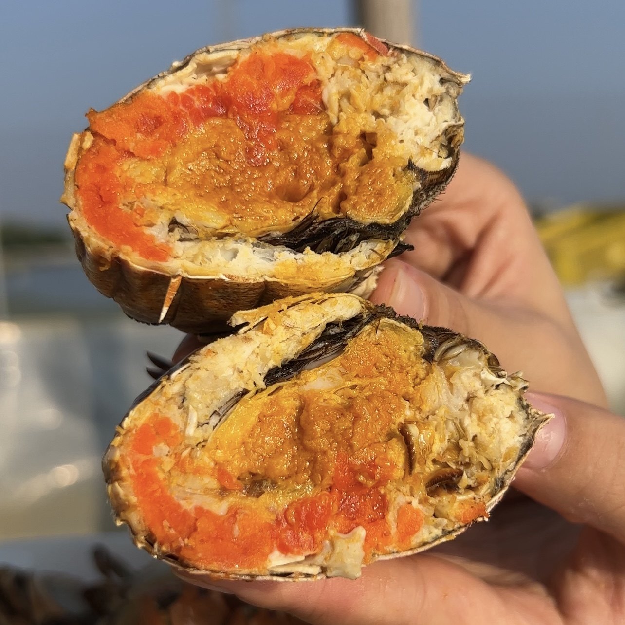 【4.0两母蟹5.0两公蟹】萧六十六郎鲜活大闸蟹高品质手工精选,淘宝优惠券,粉丝福利购,淘宝优惠卷