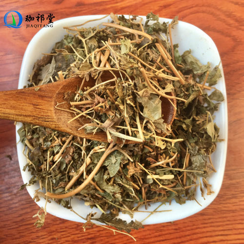海金沙藤中药材 海金沙草金沙藤 - 图1