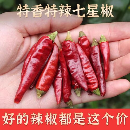 四川特香干辣椒二荆条七星椒小米辣朝天椒魔鬼椒灯笼海椒农家干货 - 图1
