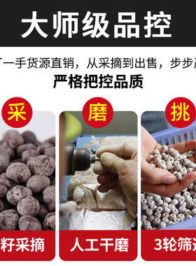 海南星月菩提子手串单圈手链男女新月高密顺白正月文玩佛珠绕指柔