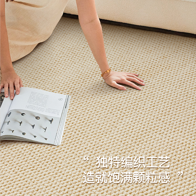 羊毛地毯菠萝圈高级客厅地毯防水防污家用地垫可擦耐抓磨防滑地毯