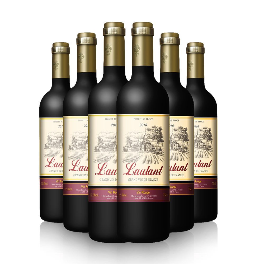 【正善牛肉哥】法国进口红酒洛琅干红葡萄酒6