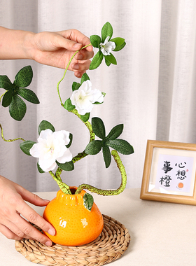 创意橘子水培鲜花植物陶瓷小花瓶