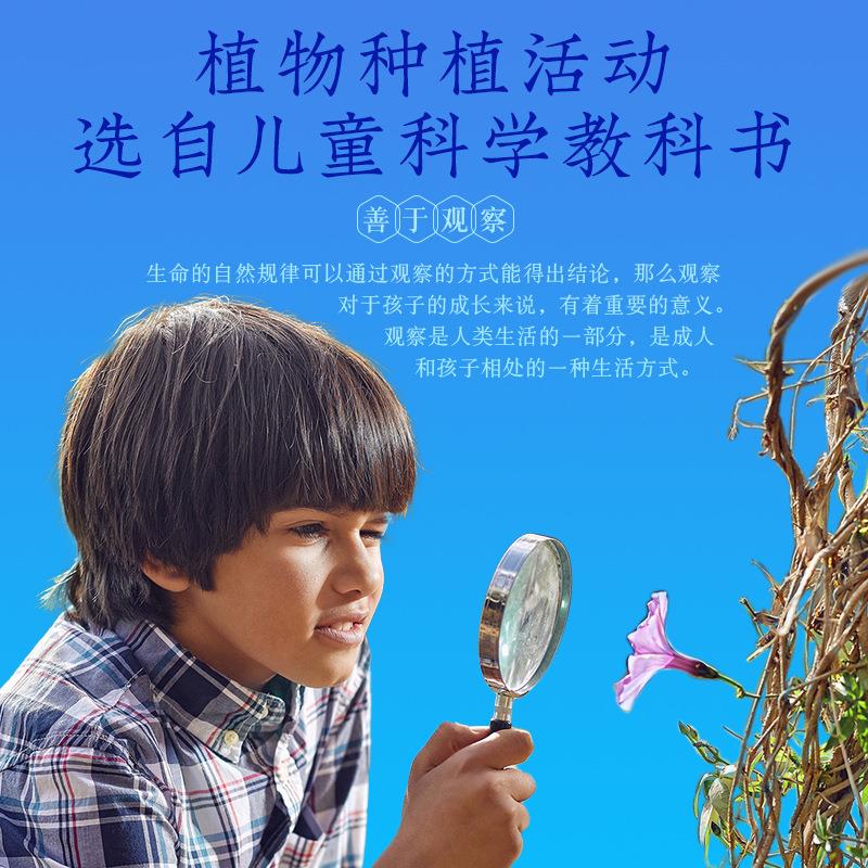 儿童发芽根系diy植物生长观察盒小农场幼儿园小学生种植种子盆栽 - 图0