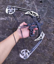 Mini Falcon Compound Bow Small Bow Metal Bow Pulley Bow Archery Archery Non-Straight Pull Recurve Bow
