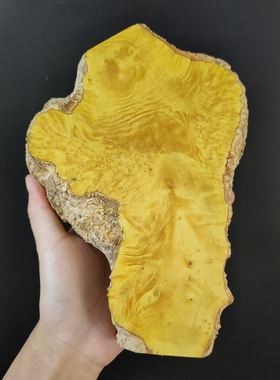 小叶黄杨瘤疤木料手把件弹弓料刀柄料黄杨木瘤牌子手串料工艺品