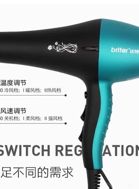 艾德森比特8858理发店发廊专用大