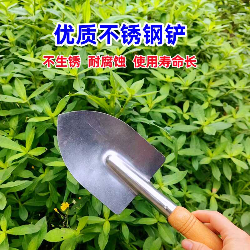 花园铲子铲土种菜盆栽小铁锹加厚不锈钢家用种植小铲子栽花除草-图2