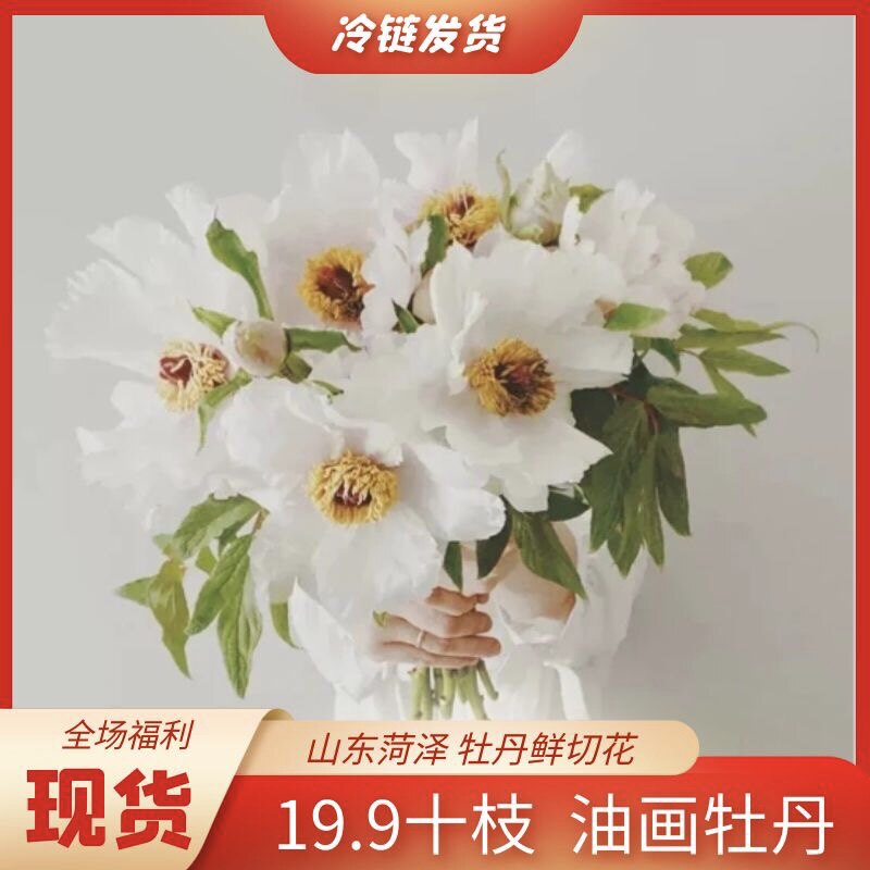 牡丹鲜花插花 新人首单立减十元 22年9月 淘宝海外