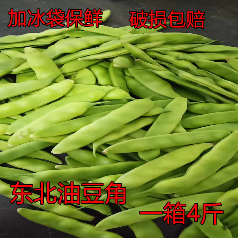 脱水四季豆 新人首单立减十元 21年9月 淘宝海外