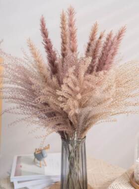 Real Wheat Decoration Natural Pampas Rabbit Tail Grass Dried