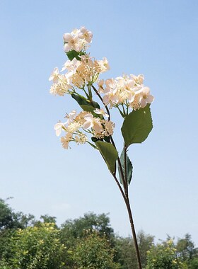 仿真仙子紫阳绣球花假家