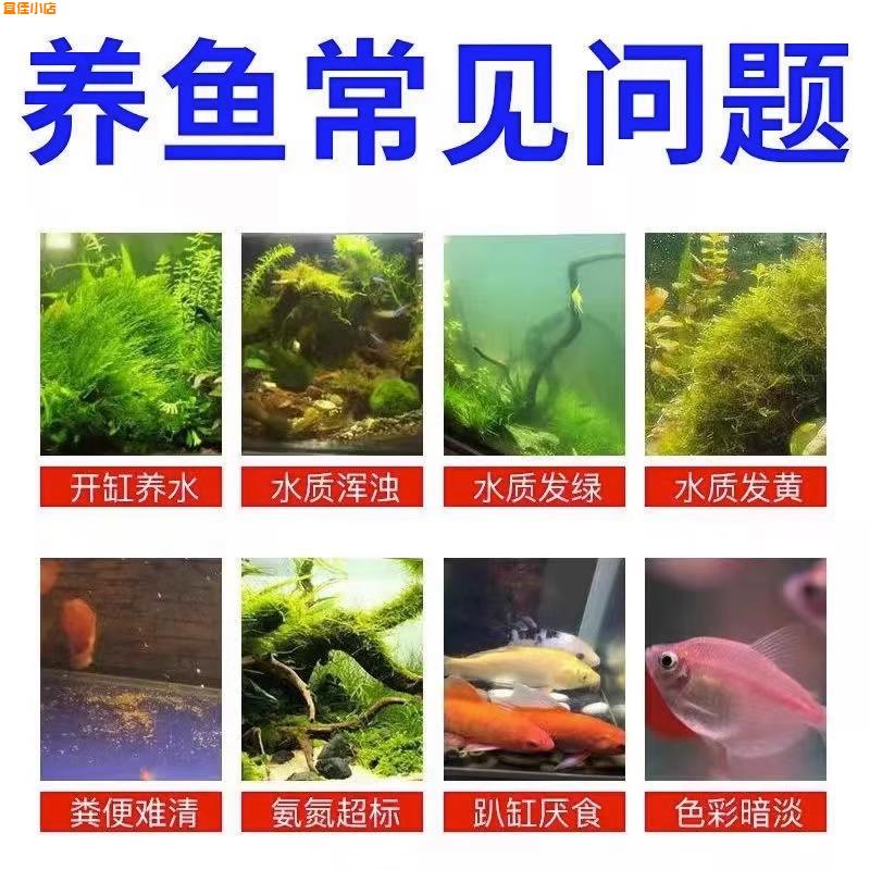 鱼缸净水剂一滴清硝化细菌养鱼专用除水垢养鱼不伤鱼水立清净水剂 - 图2