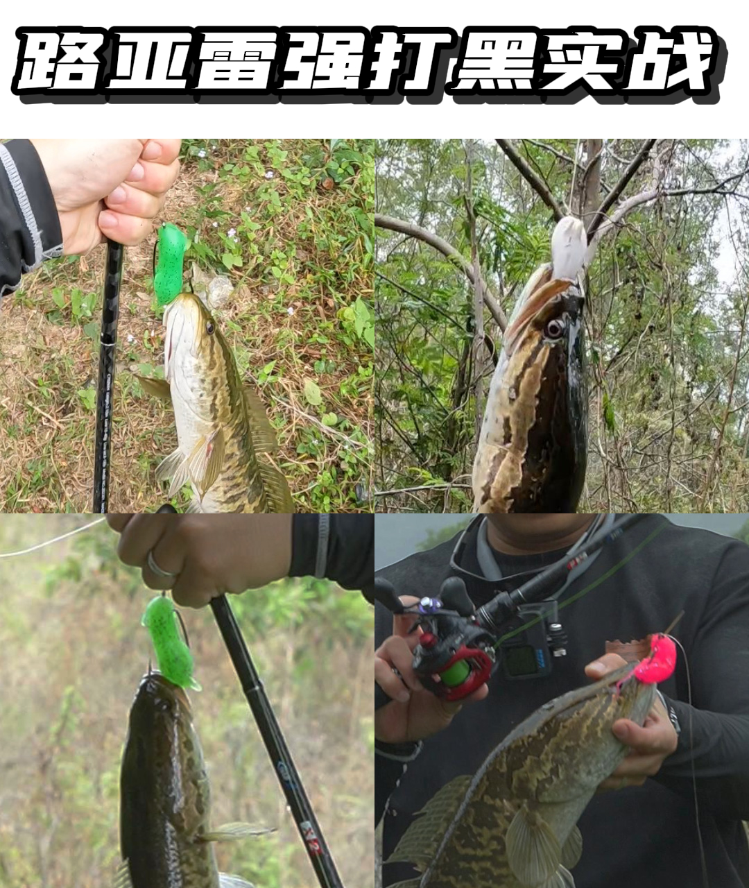 商品详情图片