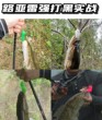 水老鼠路亚假饵防挂浮水软虫打黑雷强专杀仿生软饵黑鱼雷蛙路亚饵