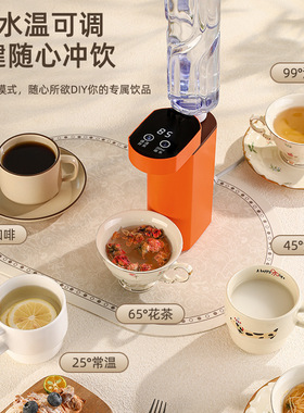 跨境即热饮水机旅行用台式桌面便携烧水壶矿泉水加热器现货
