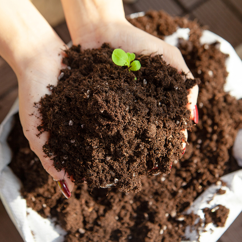 家庭蔬菜种植营养土阳台种菜专用土家用楼顶菜园育苗种植土壤肥料 - 图1