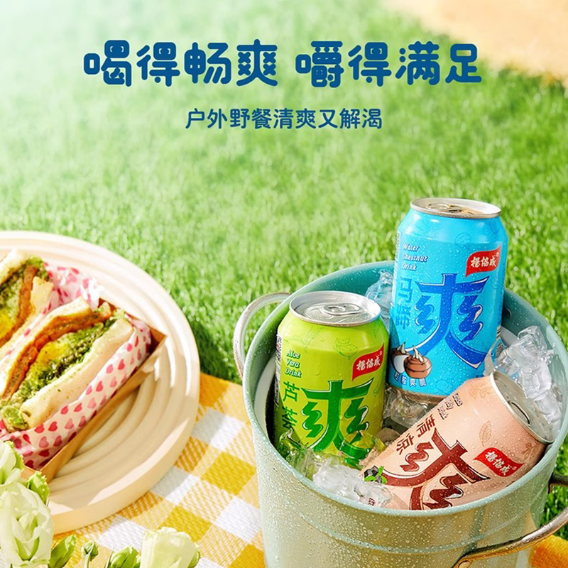 杨协成马蹄爽汁果汁果肉果粒水果饮料荸荠饮料果汁饮料300ml*6罐 - 图2