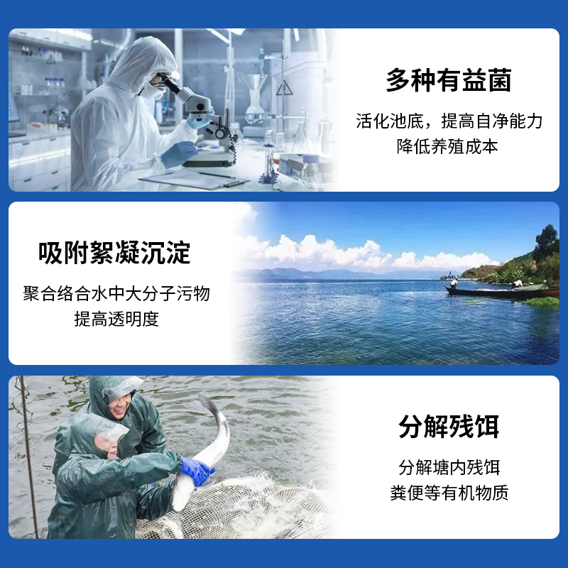 生物底改水产养殖改底王鱼虾蟹塘除黑臭降氨氮亚盐分解淤泥净水剂-图2