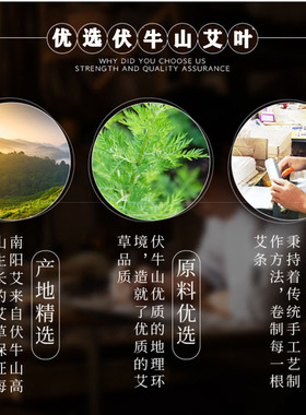 艾饼圆形5.0艾灸养生馆熏艾仪梅花心形揉腹仪2.5厘米双孔艾绒饼