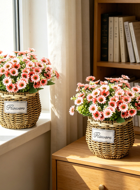 星星雏菊仿真花束客厅花篮摆件
