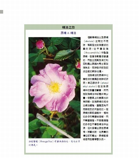 The Healing Wisdom of Essential Oils An In-depth Journey into the Science of Aromatherapy Hong Kong and Taiwan Original Kurt Schnabbert Shimao Life Encyclopedia