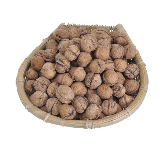 2025 new arrival wild original old tree raw dried walnuts