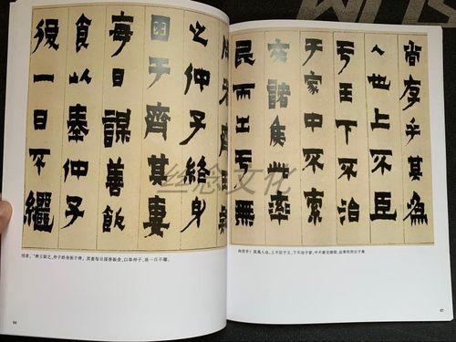 历代名家书法经典 金农 书法作品集隶书毛笔临摹字帖高清彩印繁体旁注相鹤经轴漆书七言联隶书临华山庙碑王冬梅编 隶书书法字帖 - 图3