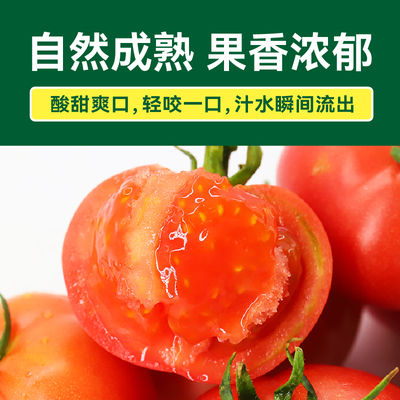 绿行者自然熟红粉番茄沙瓤西红柿