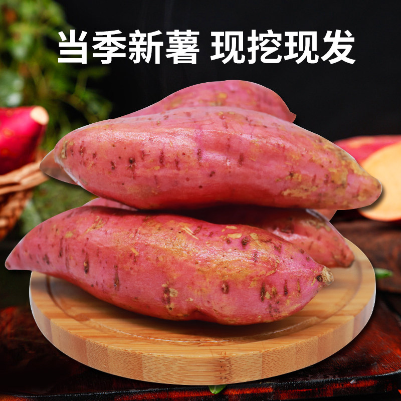 绿行者新鲜烟薯25号红心蜜薯地瓜 绿行者食品番薯