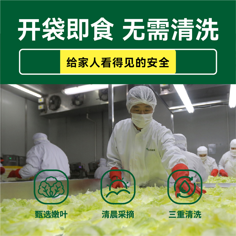 【绿行者】罗马生菜沙拉开袋即食200g沙拉原料轻食简餐新鲜蔬菜