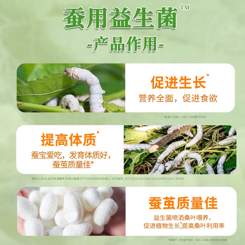 蚕用益生菌专用养蚕补充营养液蚕茧除臭健壮生长素桑叶饲料添加剂 - 图2