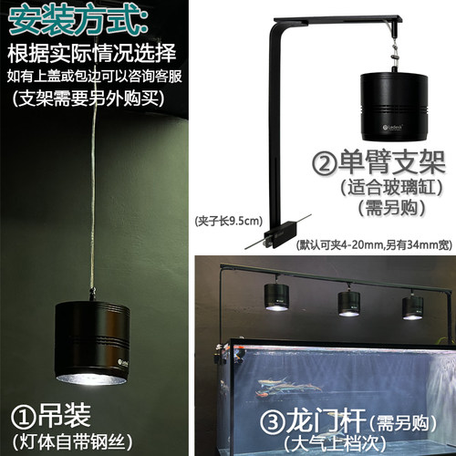 乐迪吉罗王灯100w全光谱增色显色爆藻灯 原生鱼溪流缸植物生长灯 - 图3