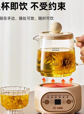 小南瓜办公室玻璃养生壶花茶一人小型煮茶电炖杯迷你多功能养生杯