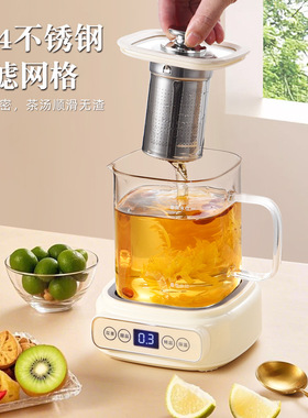 粤帝斯直供大容量带茶漏养生杯