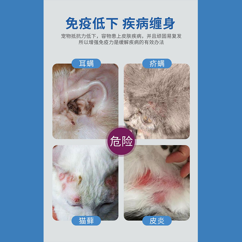 HITF高免因子猫营养补充剂猫咪口炎抗病毒应激剂术后恢复增强免疫 - 图0