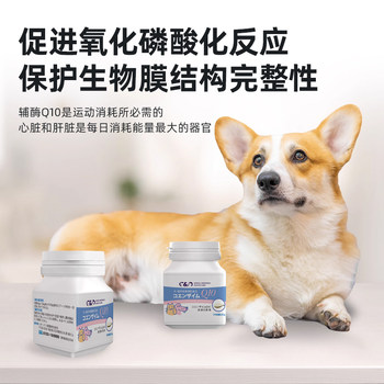 Coenzyme Q10 Pets Cardiovascular Powder ຂອງຍີ່ປຸ່ນສໍາລັບແມວແລະຫມາທີ່ມີ hypertrophy ຂອງຫົວໃຈ 20g ຫົວໃຈທາງການແພດ Pimobendan