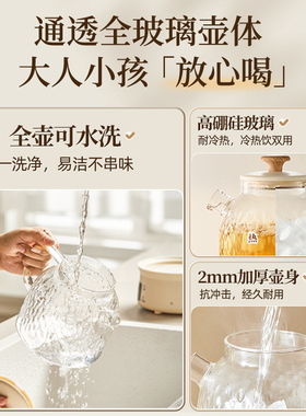 【全玻璃】小熊养生壶全玻璃新款
