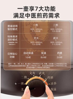 小熊中药电煎壶煎药壶全自动熬药家用熬中药电砂锅熬汤两用煲药罐