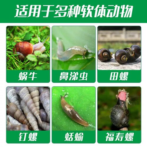 杀蜗牛专用蜗螺净菜地一喷净灭鼻涕虫蛞蝓福寿螺专治蔬菜特效专杀 - 图2