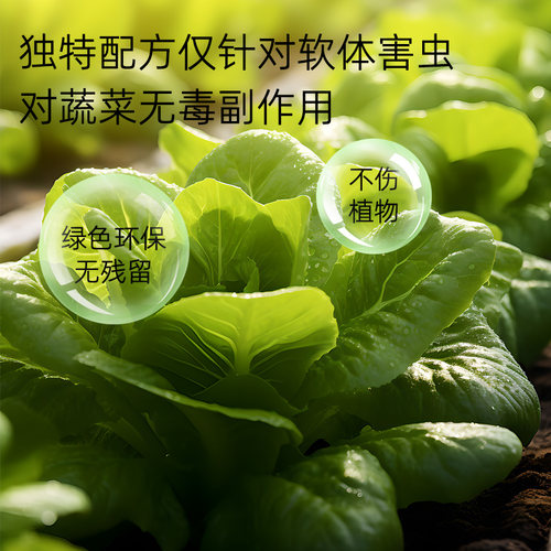 杀蜗牛专用蜗螺净菜地一喷净灭鼻涕虫蛞蝓福寿螺专治蔬菜特效专杀 - 图1