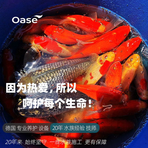 锦鲤鱼池清理清洗吸污上门维护服务上海苏州过滤器仓改造水池养护 - 图1