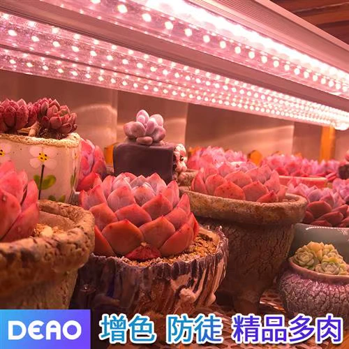 Заполняющий свет, светодиодная лампа для растений на солнечной энергии, комфортный световой спектр