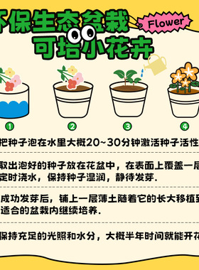 十八纸植接摇暴富桌面装饰摆件